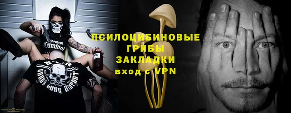 сатива Волосово