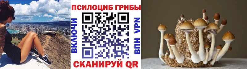 даркнет наркотические препараты  Куровское  Галлюциногенные грибы ЛСД 
